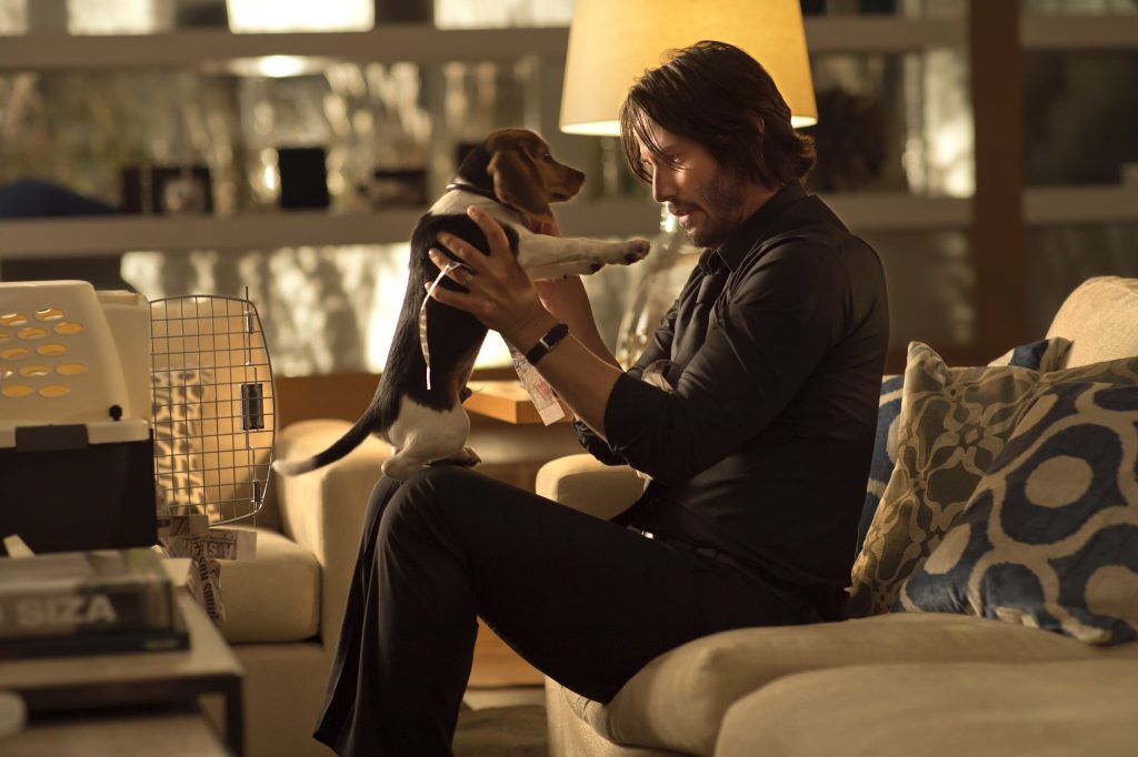 John Wick Films Ranked Top To Worst