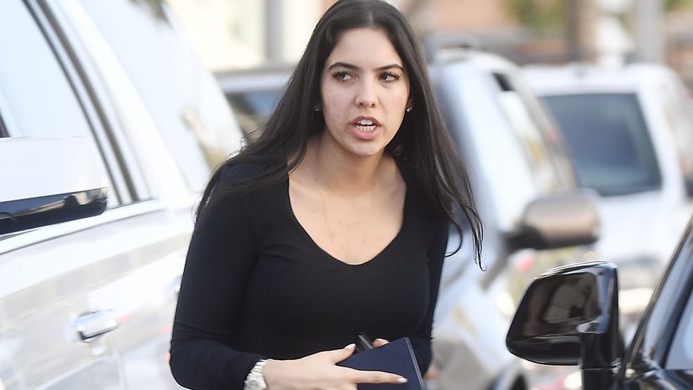 Who is Noor Alfallah? Exploring Her Relationship with Al Pacino