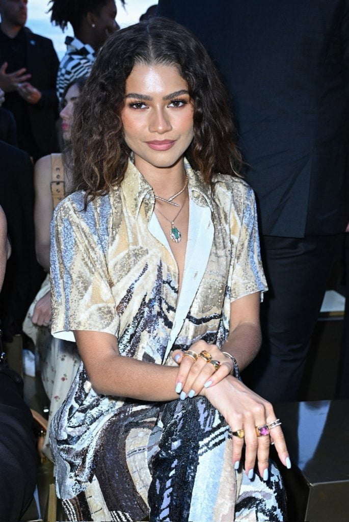 Zendaya Joins Louis Vuitton for SS24 Menswear Show in Paris