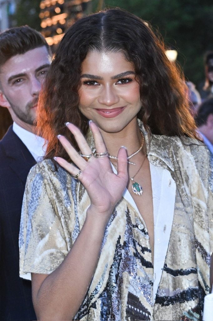 Zendaya Joins Louis Vuitton for SS24 Menswear Show in Paris