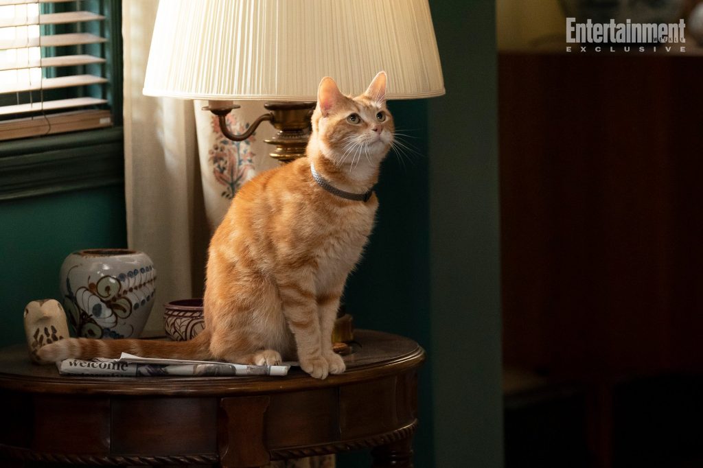 Exclusive: New Images and BTS from 'The Marvels' Revealed