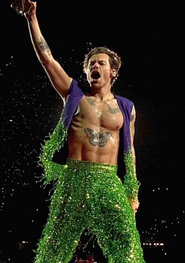 Harry Styles Takes a Hit: Object Thrown on Stage Strikes the Pop Star's Eye in Vienna