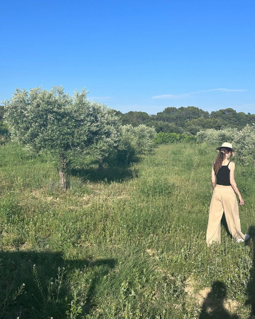 Dakota Johnson's New Photos Unveil Her Exquisite Summer Journey in France