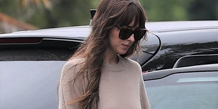 Dakota Johnson Spotted at Malibu Farmer's Market in Malibu