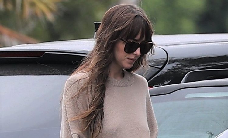 Dakota Johnson Spotted at Malibu Farmer's Market in Malibu