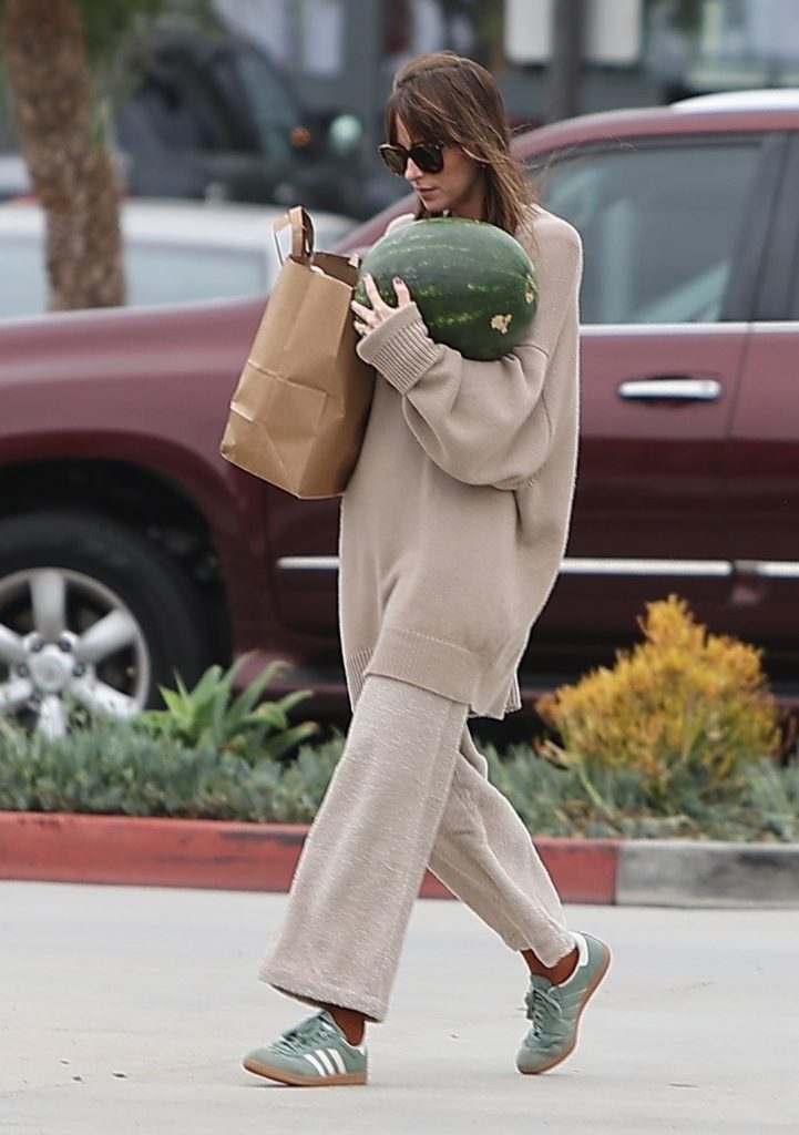 Dakota Johnson Spotted at Malibu Farmer's Market in Malibu