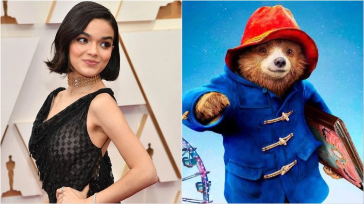 Rachel Zegler Exits 'Paddington in Peru' Due to Strikes; Recasting Underway (Exclusive)