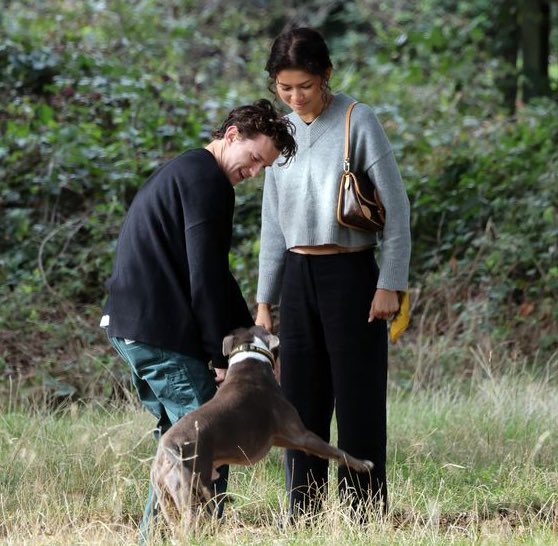 Tom Holland and Zendaya's Cozy Stroll in London Park with Adorable Dog Encounter