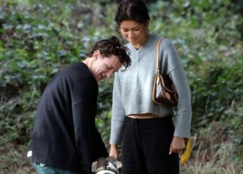 Tom Holland and Zendaya's Cozy Stroll in London Park with Adorable Dog Encounter