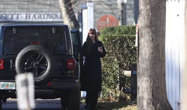 Dakota Johnson Chris Martin and Gwyneth Paltrow Celebrate Thanksgiving Together