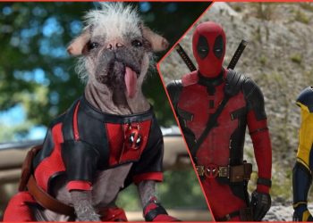 Ryan Reynolds Shared the First Look at 'Dogpool' in 'Deadpool 3'