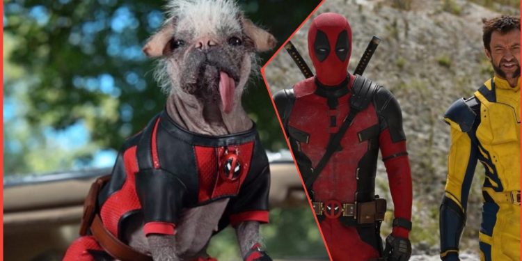 Ryan Reynolds Shared the First Look at 'Dogpool' in 'Deadpool 3'