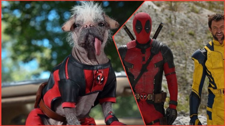 Ryan Reynolds Shared the First Look at 'Dogpool' in 'Deadpool 3'