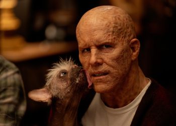 A New Look at Dogpool Tasting Deadpool from Marvel's 'Deadpool 3' Revealed