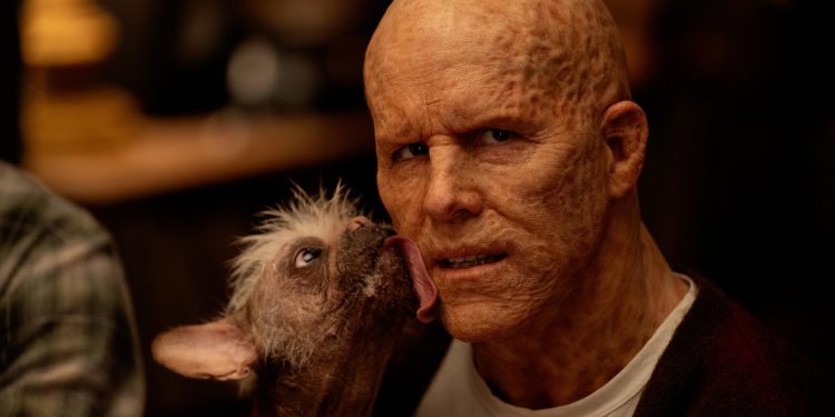 A New Look at Dogpool Tasting Deadpool from Marvel's 'Deadpool 3' Revealed