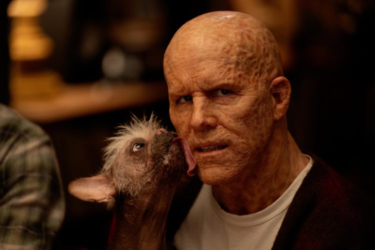 A New Look at Dogpool Tasting Deadpool from Marvel's 'Deadpool 3' Revealed