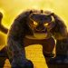 'Kung Fu Panda 4' Trailer Dominates with Over 142 Million Views Worldwide