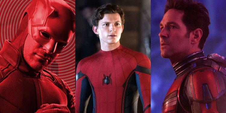Marvel Studios Considers Ant-Man and Daredevil for Tom Holland's 'Spider-Man 4' Cameo Appearances