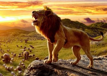 'Mufasa: The Lion King' Plot Details and Release Date Revealed