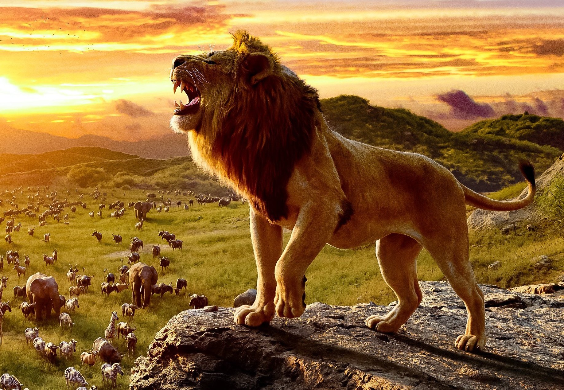 'Mufasa The Lion King' Plot Details and Release Date Revealed