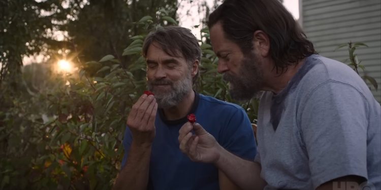 'The Last of Us' Season 1 Secures 8 Emmy Wins