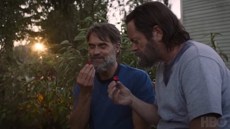 'The Last of Us' Season 1 Secures 8 Emmy Wins