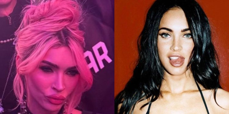 Megan Fox Looks Unrecognizable With Her New Look