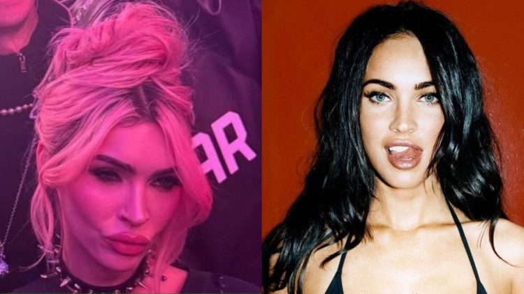 Megan Fox Looks Unrecognizable With Her New Look