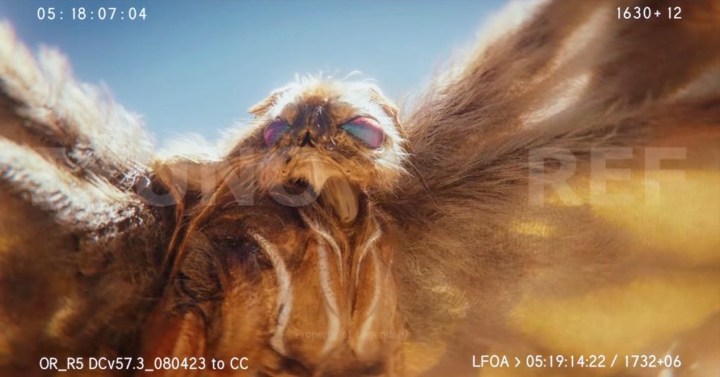 Exclusive: First Look at Mothra in 'Godzilla x Kong: The New Empire' Revealed