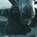 'Alien: Romulus' Test Screening Reports
