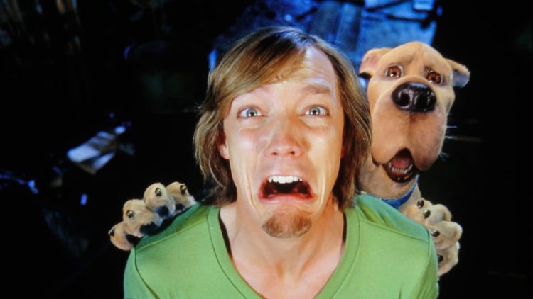 Exclusive: Matthew Lillard Returns as Shaggy for Mystery 'Scooby-Doo' Animated Project