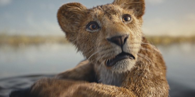 'Mufasa: The Lion King' Trailer: From Orphaned Cub to The Lion King