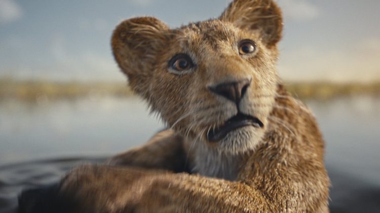 'Mufasa: The Lion King' Trailer: From Orphaned Cub to The Lion King