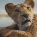 'Mufasa: The Lion King' Trailer: From Orphaned Cub to The Lion King