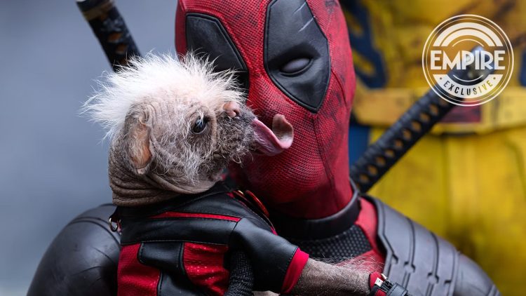 Ryan Reynolds Reveals Dogpool's Name in 'Deadpool & Wolverine' as Peggy
