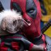 Ryan Reynolds Reveals Dogpool's Name in 'Deadpool & Wolverine' as Peggy