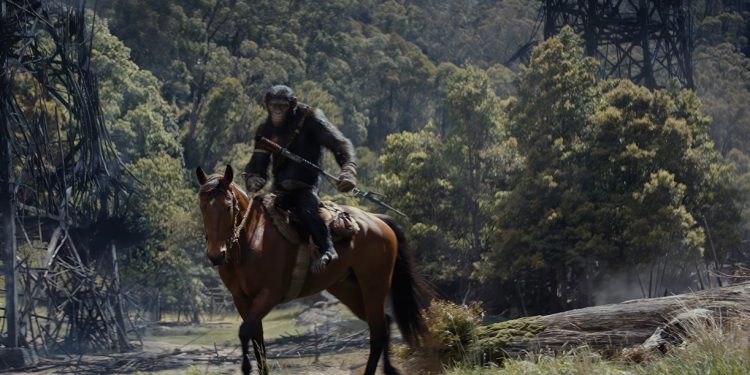 'Kingdom of the Planet of the Apes' Grosses $300M Worldwide