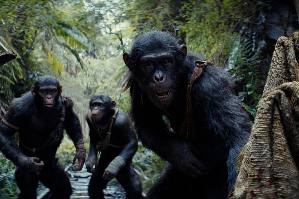 Report: Wes Ball Confirms 30 to 40 Minutes of Deleted Scenes in 'Kingdom of the Planet of the Apes'