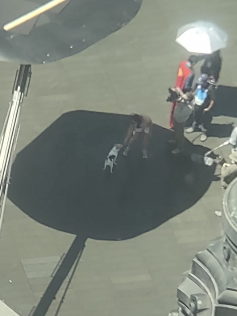 James Gunn's 'Superman': New Set Images Show David Corenswet Saving a Puppy