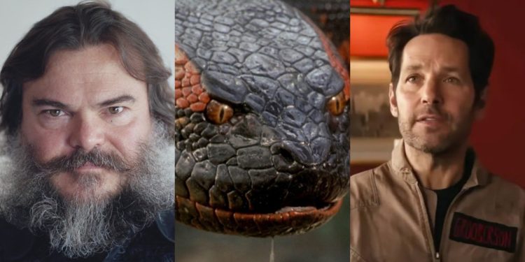 Jack Black and Paul Rudd Circling Leads in 'Anaconda' Reimagining