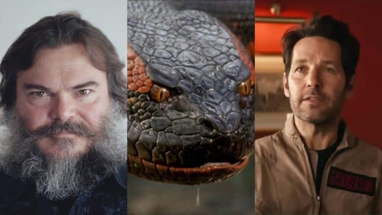 Jack Black and Paul Rudd Circling Leads in 'Anaconda' Reimagining