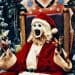 Terrifier 3 New Trailer: Art the Clown Returns to Haunt Sienna and Jonathan's Christmas Nightmare