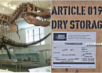 Jurassic World Rebirth Leak Images