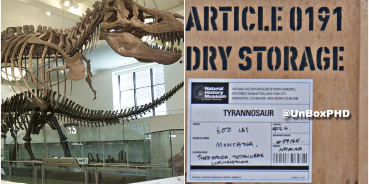 Jurassic World Rebirth Leak Images