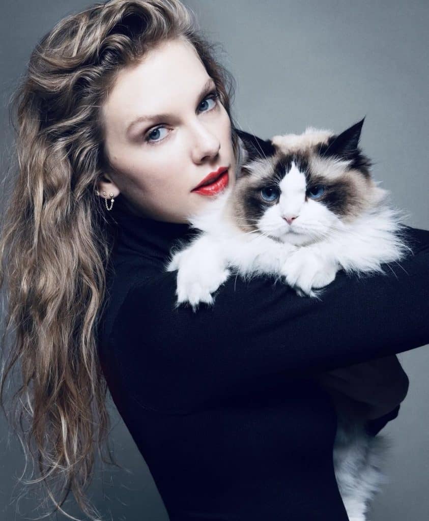 Taylor Swift Endorses Kamala Harris and Tim Walz for 2024 Presidential Election