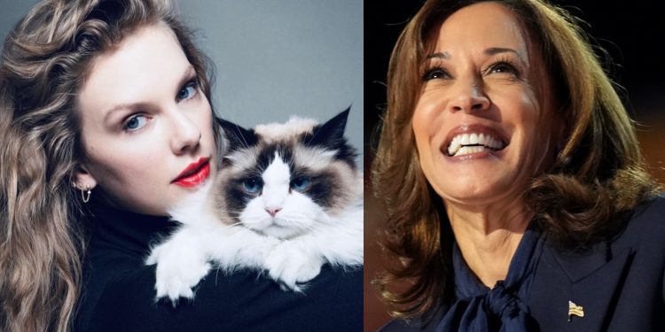 Image Source: Taylor Swift IG