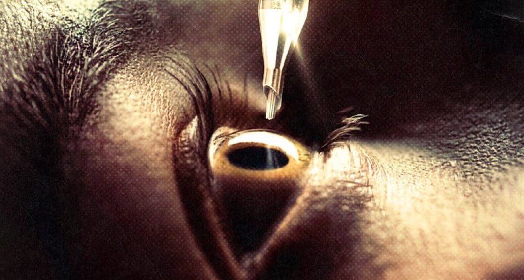 First Poster for Final Destination: Bloodlines Revealed; Theatrical Release Set for March 2025