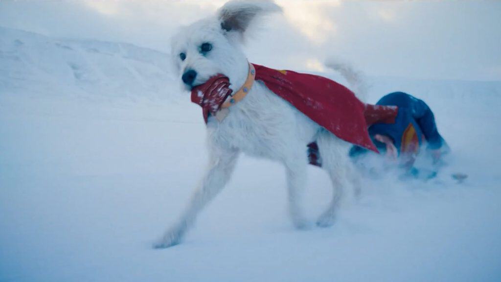 Krypto the Superdog appears