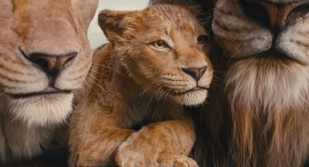 New The Lion King Spinoff Film Reportedly in Development at Disney