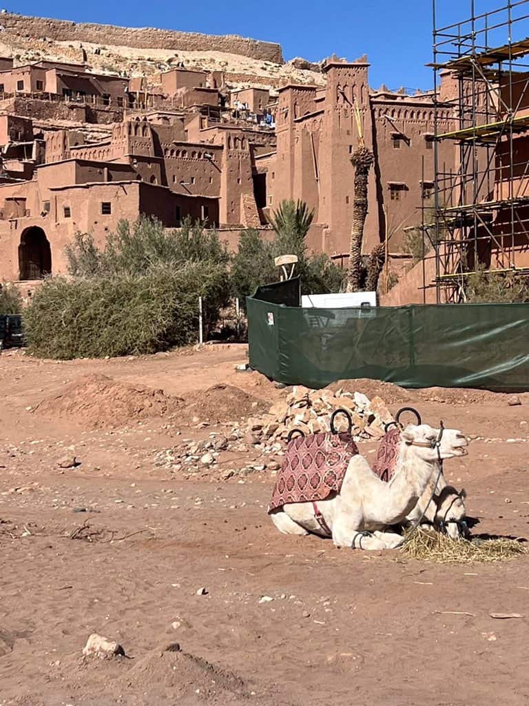 Christopher Nolan's The Odyssey begins filming in Aït Benhaddou, Morocco, in February 2025. Get an exclusive look at the set under construction as anticipation builds for this epic adventure.